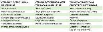 resim1