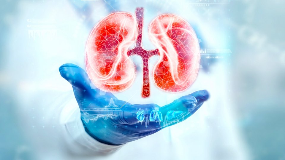 Açık Nefrektomi Nedir? Hangi Hastalıklar İçin Kullanılır?