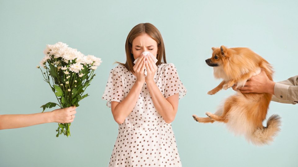 Alerji Belirtileri Nelerdir? Alerjiye Ne İyi Gelir?