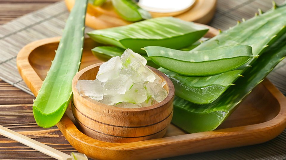 Aloe Vera Faydaları Nelerdir?