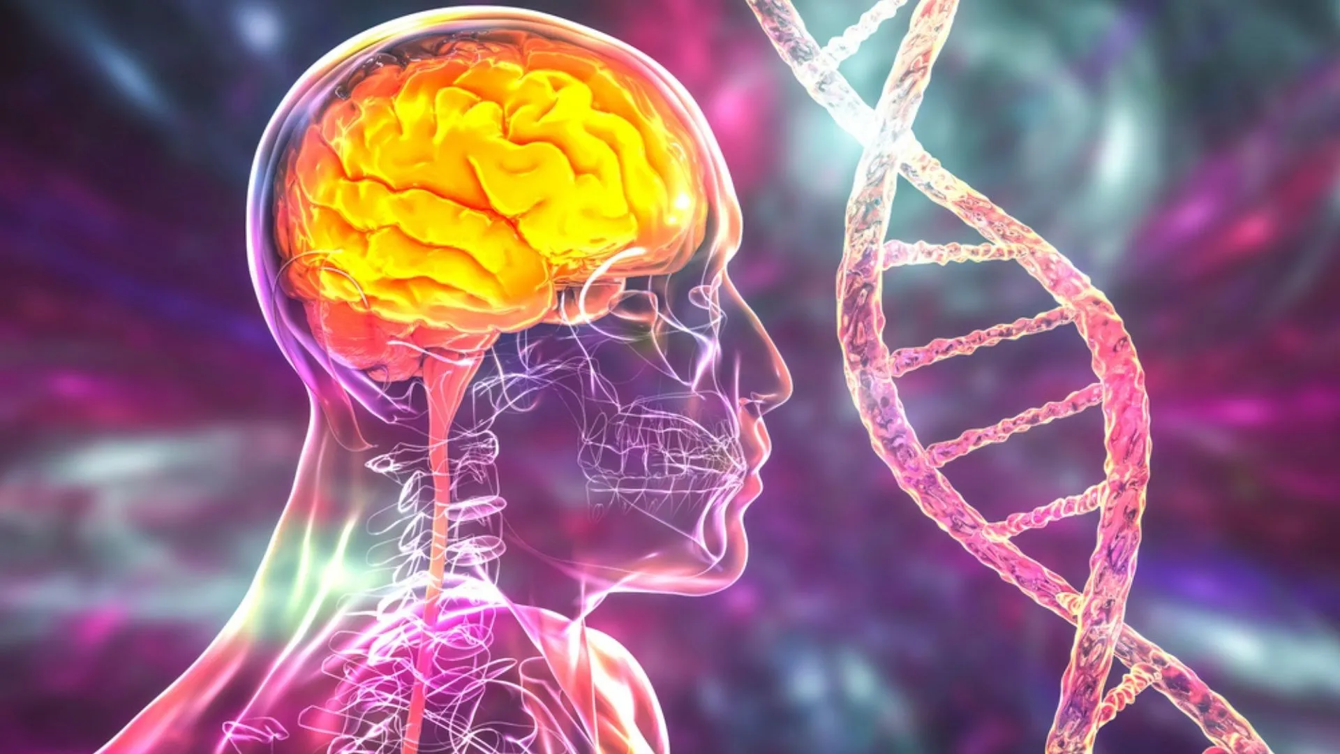 Alzheimer Genetik mi?