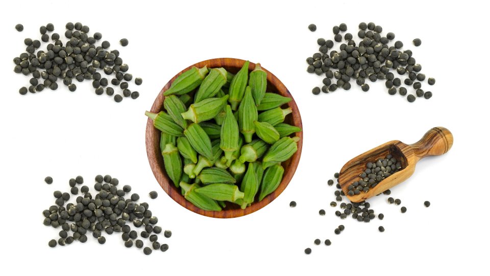 Bamya Tohumu Faydaları Nelerdir? Bamya Tohumu Neye İyi Gelir?