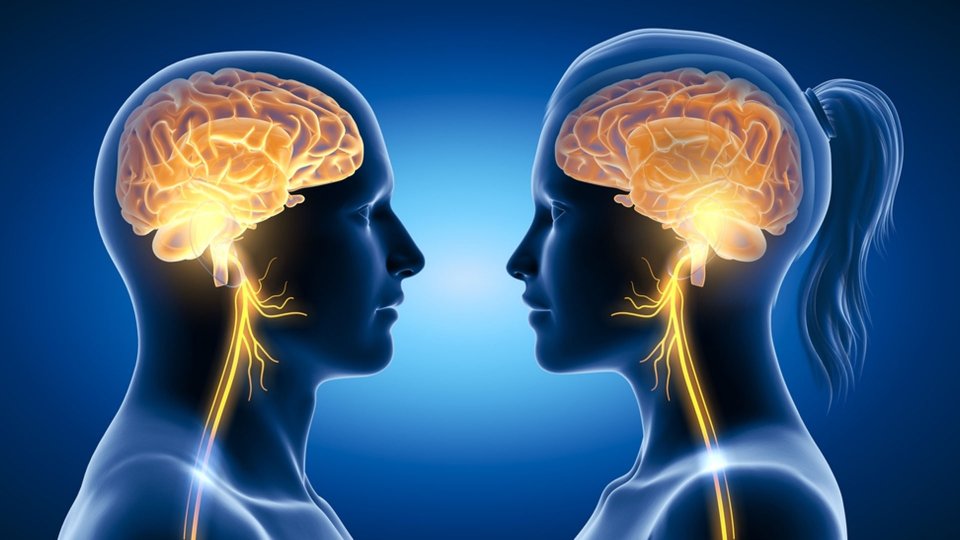 Beyin Sapı Tümörü Nedir? Beyin Sapı Tümörü Ameliyat Fiyatı Nedir?