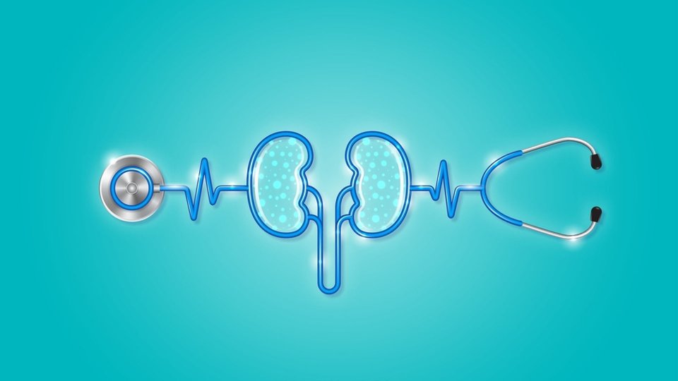 Diyabetik Nefropati Nedir? Evreleri, Belirtileri ve Tedavisi