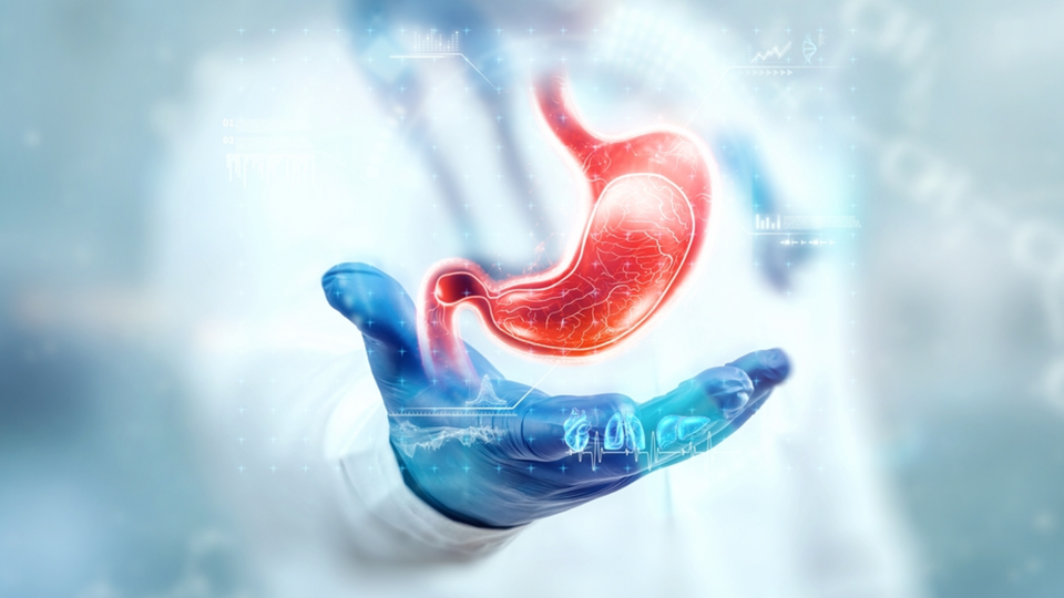 Duodenal Switch (Biliopankreatik Diversiyon)
