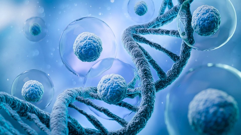 En Ölümcül Kanserler Hangileridir?