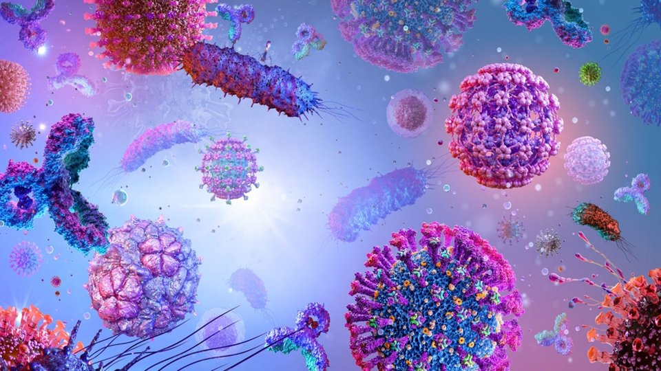 Enfeksiyon Nedir? Türleri ve Tedavisi