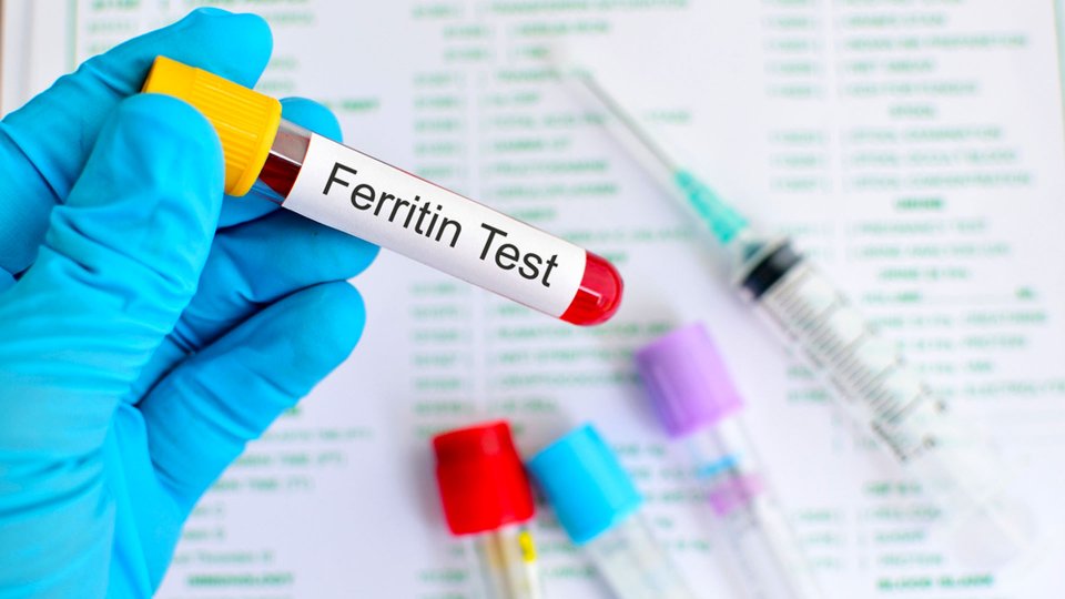 Ferritin Nedir? Ferritin Düşüklüğü Ferritin Yüksekliği Nedir?
