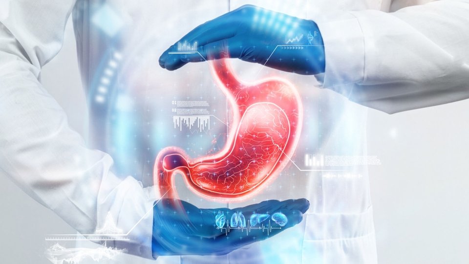 Gastroenteroloji Nedir: Gastroenteroloji Hakkında Bilmeniz Gerekenler