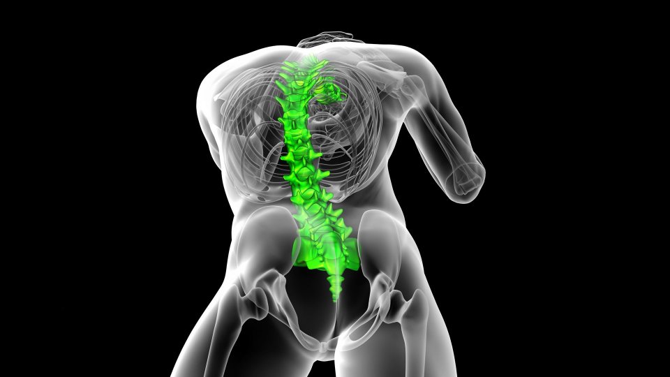 Gergin Omurilik Sendromu Nedir ve Nasıl Tedavi Edilir?