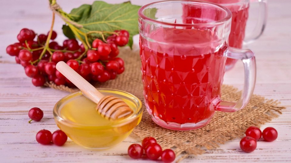 Gilaburu Nedir? Gilaburu Ne İşe Yarar?