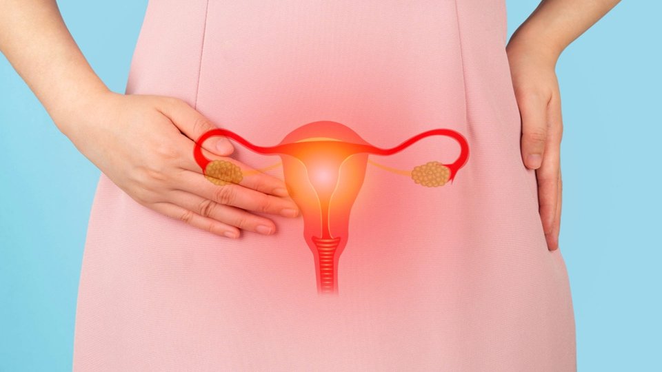 Human Papilloma Virüs Nedir? HPV Nasıl Bulaşır? 