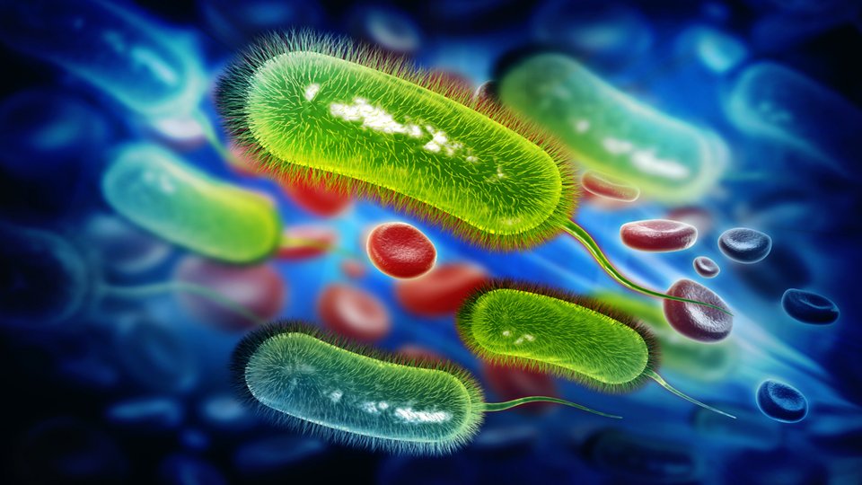 Helikobakter Nedir? Helikobakter Tedavisi Nasıl Yapılır?