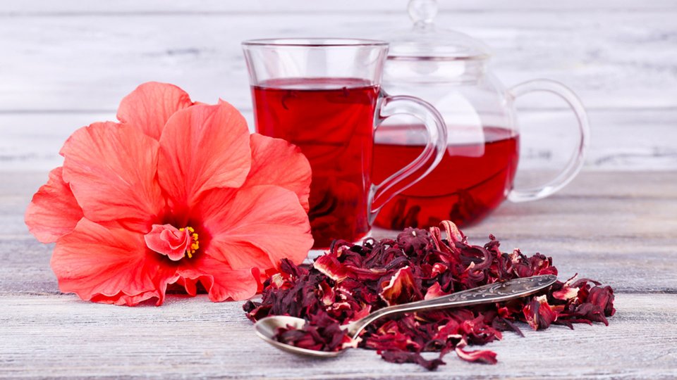 Hibiskus Faydaları Nelerdir? - Büyük Anadolu Hastanesi
