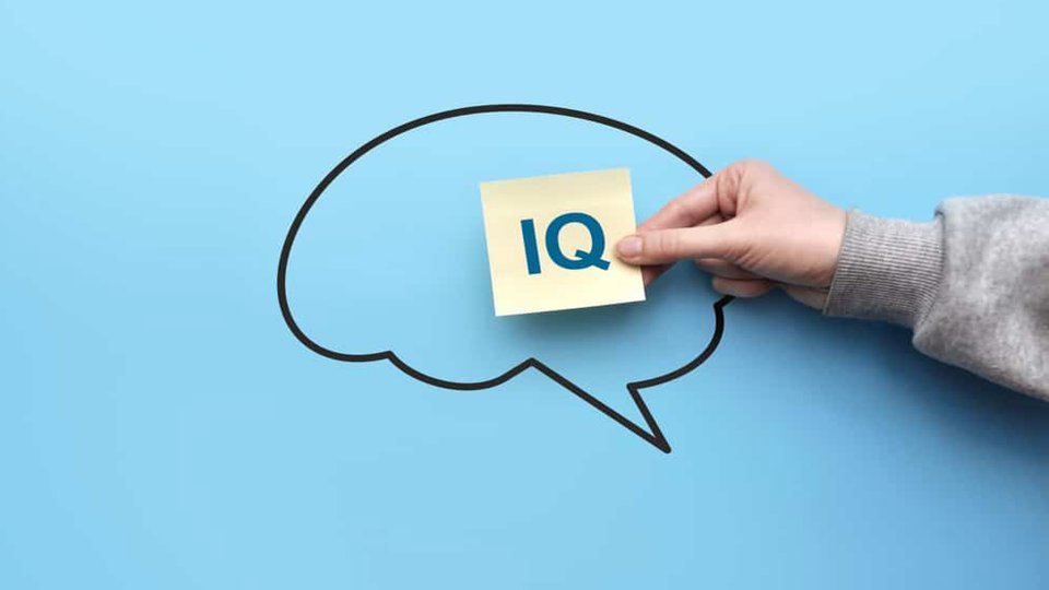 IQ Testi Nedir?