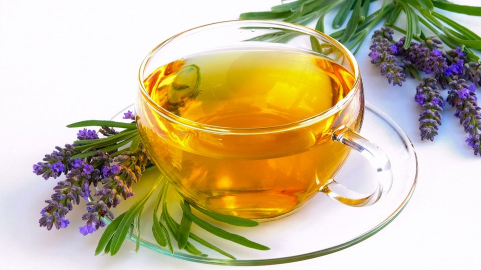 Karabaş Otu Nedir? Karabaş Otu Faydaları Nelerdir?