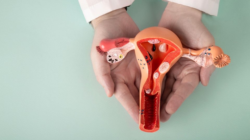 Kızlık Zarı (Hymen) Nedir?