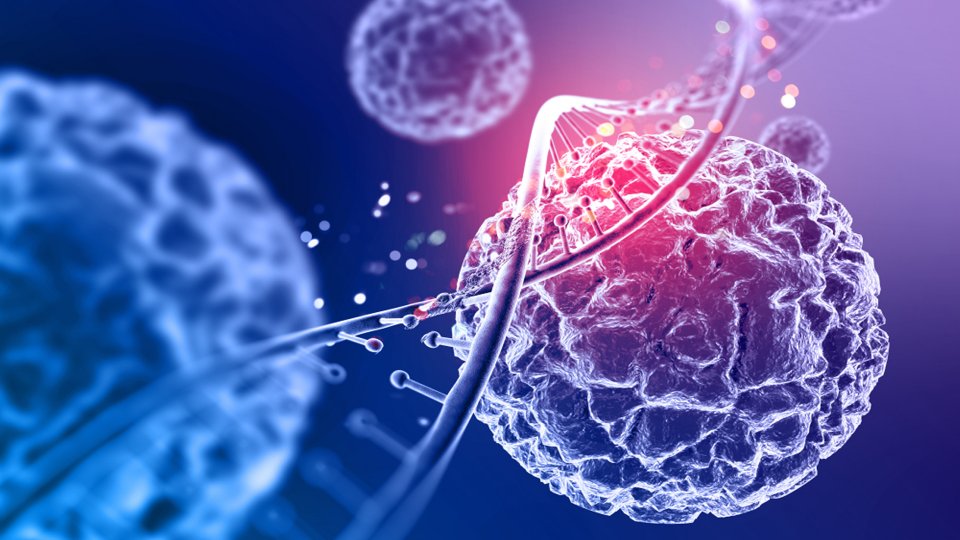 Kök Hücre Nedir? Kök Hücre Tedavisi Nedir?