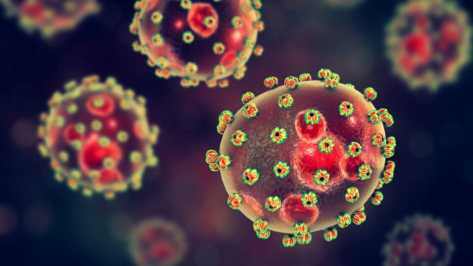 Lassa Ateşi Nedir? Belirtileri Nelerdir? Nasıl Tedavi Edilir?