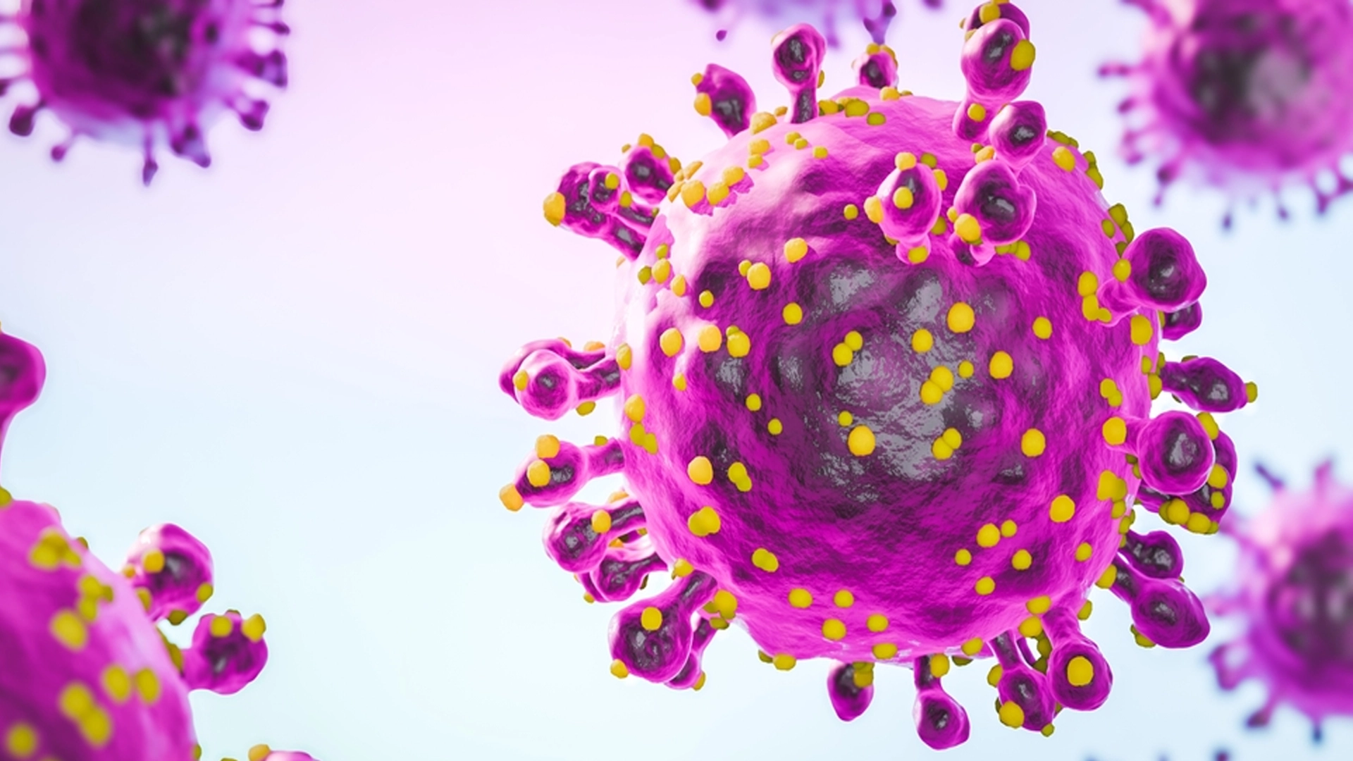 Mavi Dil Hastalığı İnsana Bulaşır mı?