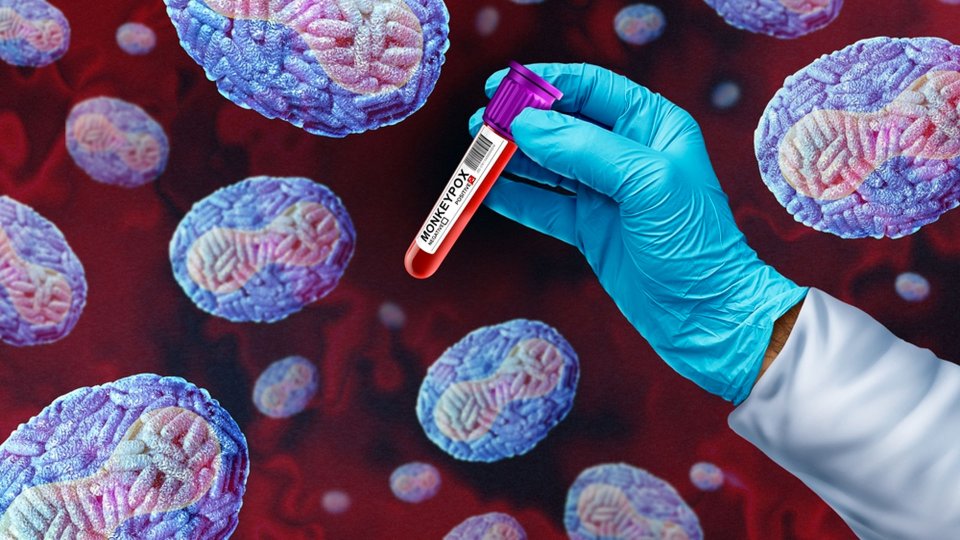 Maymun Çiçeği Rehberi