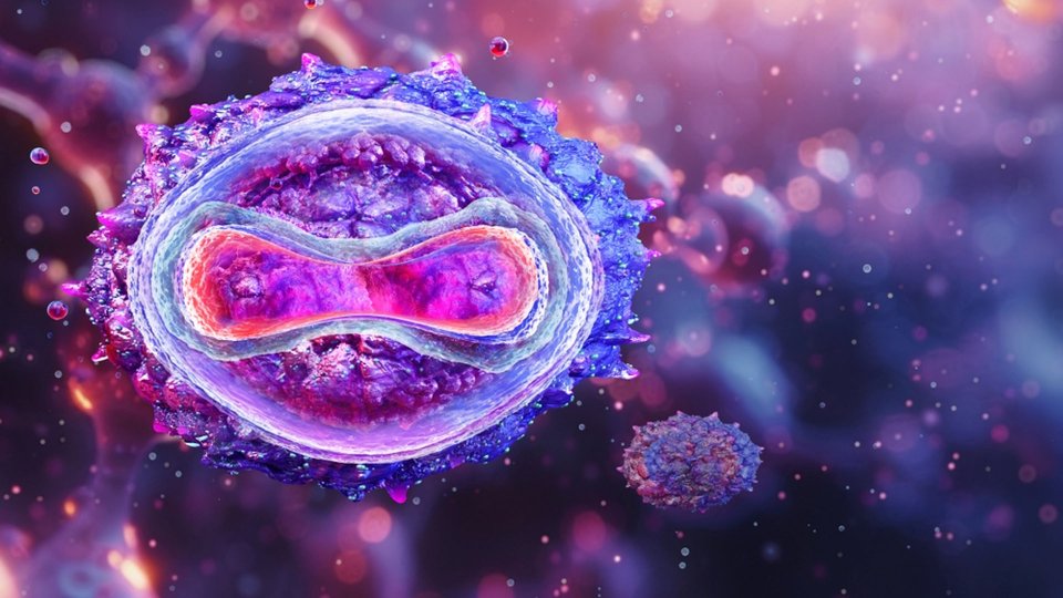 Maymun Çiçeği Virüsü Nasıl Bulaşır? 