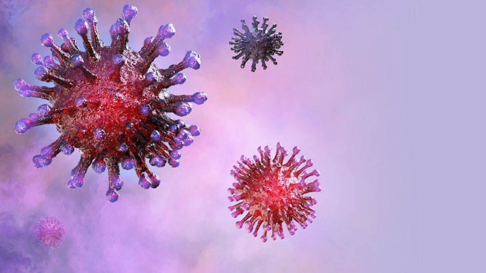 Mers Virüsü Nedir? Nasıl Bulaşır? 