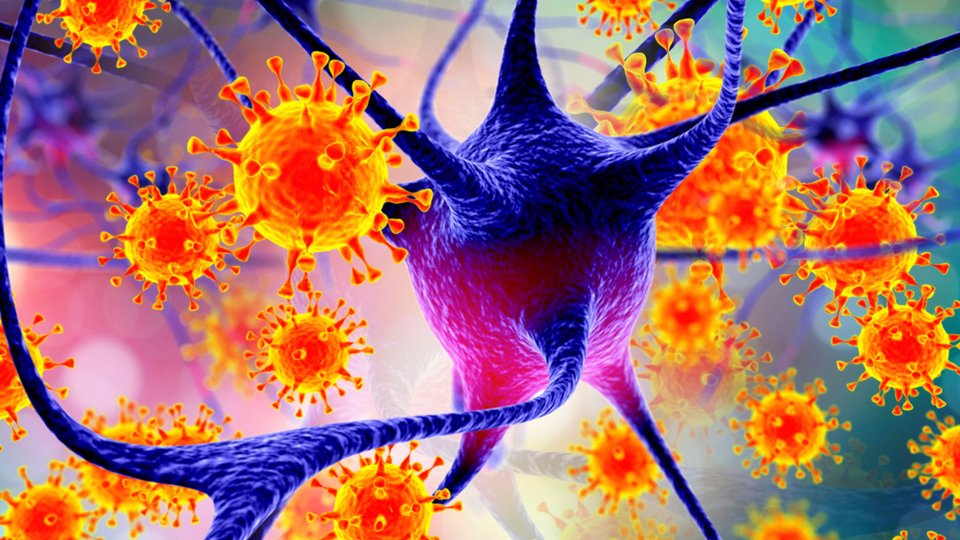 Nipah Virüsü Nedir? Nipah Virüsü Belirtileri Nelerdir?