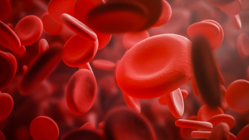 PLT Yüksekliği Neden Olur? PLT Yüksekliği Hangi Hastalığın Belirtisi?