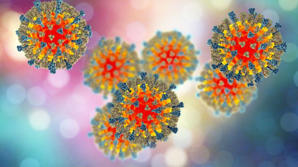 Parainfluenza Virüsü Nedir? Belirtileri Nelerdir?	