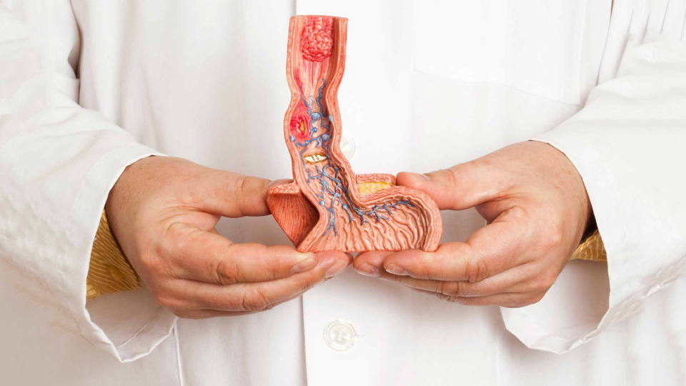 Penis Kanseri Nedir? Penis Kanseri Belirtileri ve Tedavisi