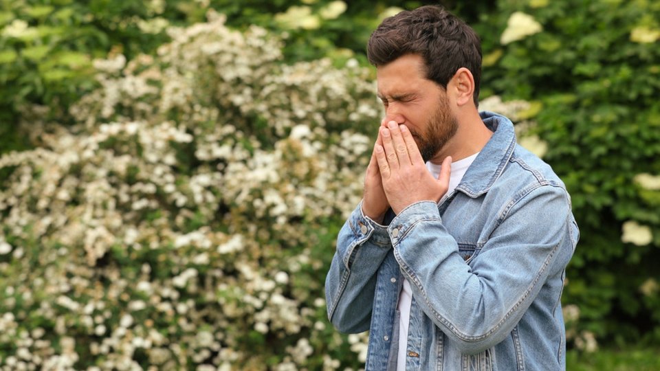 Polen Alerjisi Nedir? Polen Alerjisi Belirtileri ve Tedavi Yolları