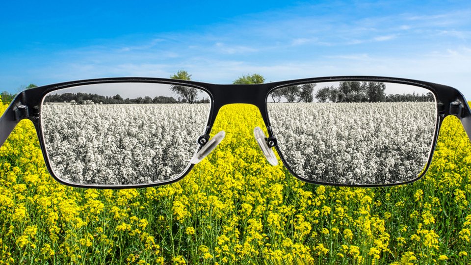 Renk Körlüğü Nedir? Renk Körlüğü Testi Nasıl Yapılır?