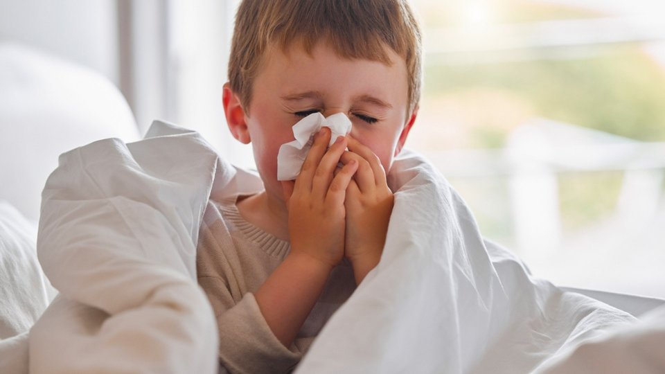 Toz Alerjisi Nedir? Toz Alerjisi Belirtileri Nelerdir?	