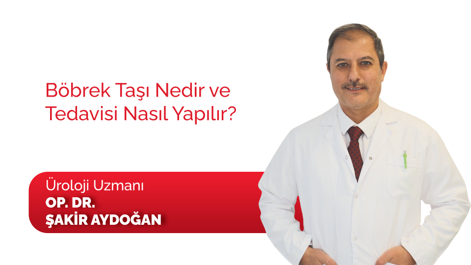 Böbrek Taşı Nedir ve Tedavisi Nasıl Yapılır?