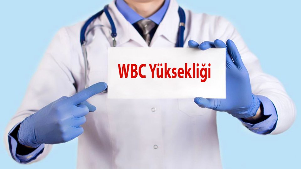 WBC Yüksekliği Nedir?