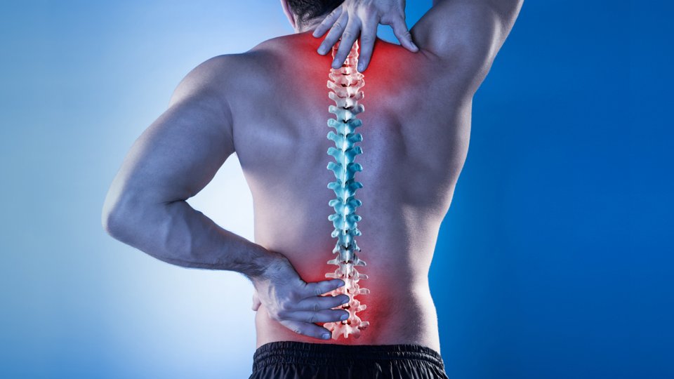 Bel, Boyun ve Sırt Fıtıkları