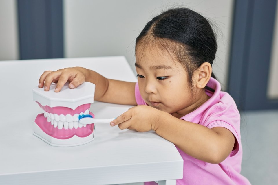 Okul Öncesi Çocuklarda Diş Sağlığı Kontrolü Neden Önemlidir?