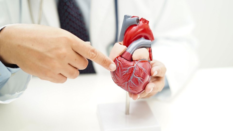 EGFR Nedir? EGFR Düşüklüğü ve Yüksekliği Nedir?