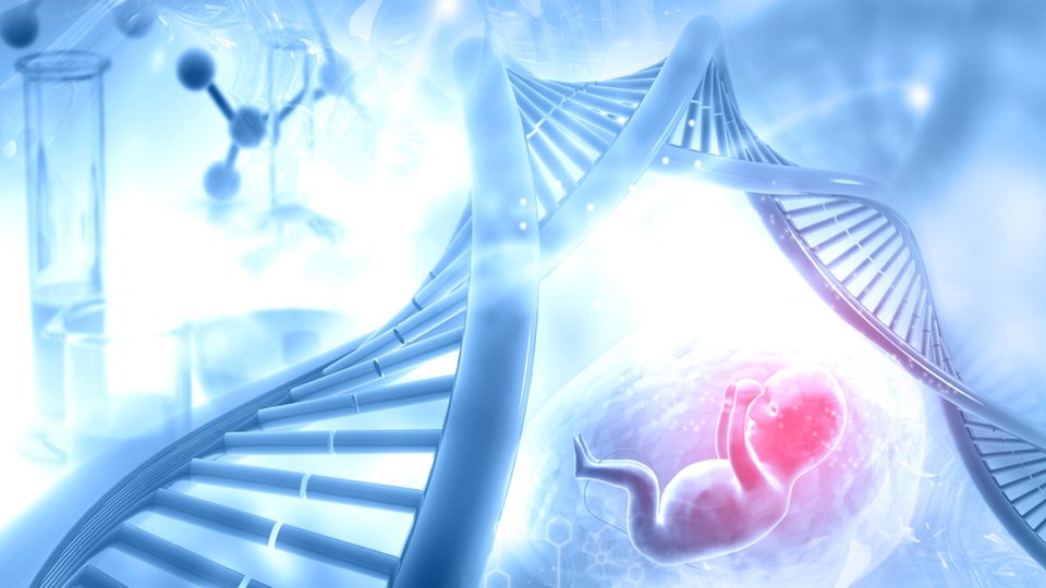 Fetal DNA Testi Nedir?