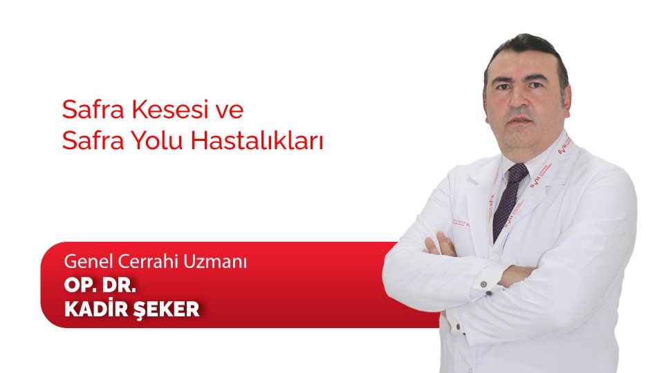 Safra kesesi ve Safra Yolu Hastalıkları