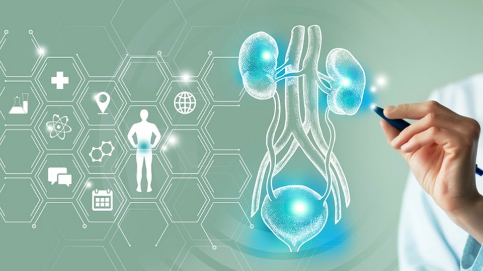 Peygamber Sünneti (Hipospadias) Nedir?