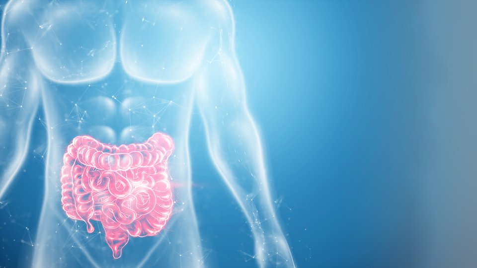 Kabızlığa Ne İyi Gelir?