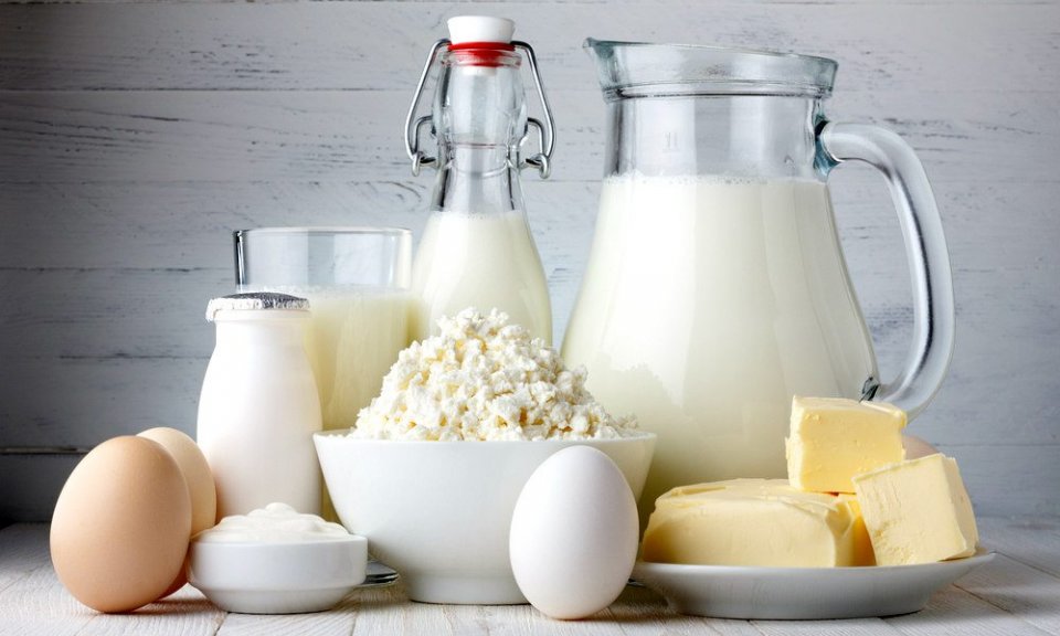 Güçlü Bağışıklık Sistemi İçin Probiyotiklerin Önemi