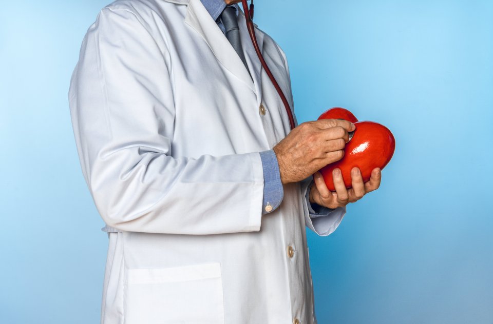 Kolesterol: Vücudumuz İçin Bir Düşman mı, Yoksa Hayati Bir Gereklilik mi?