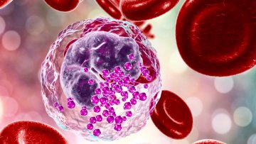 Baso Tahlili Nedir? Baso Düşüklüğü, Yüksekliği