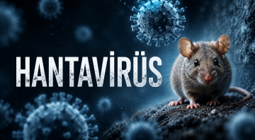 Hantavirüs Nedir? Bulaşma Yolları, Belirtileri ve Kapsamlı Tedavi Rehberi