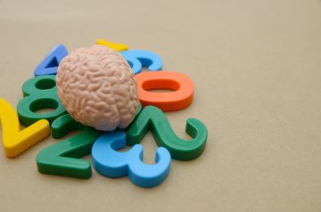 Beynimiz Kaç Yaşında Yaşlanmaya Başlar? Şaşırtıcı Gerçekler ve Gençleştirme Yolları