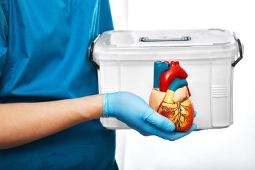 Organ Nakli Nedir? Organ Nakli Nasıl ve Kimlere Yapılır?