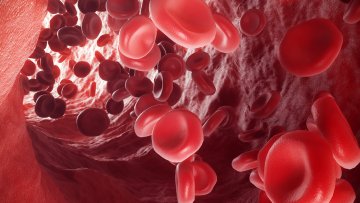 Hemoglobin (HGB) Nedir? Hemoglobin Değeri Kaç Olmalı?